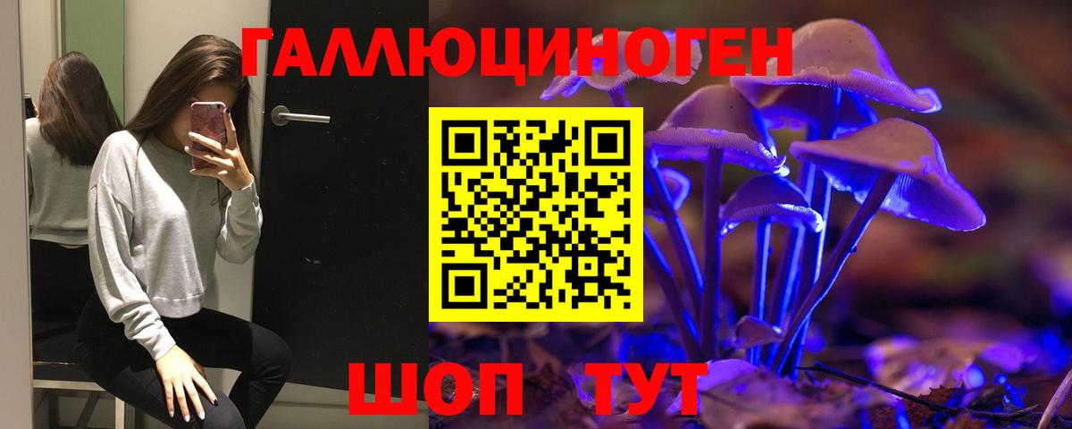 Прохладный  Псилоцибиновые грибы Magic Shrooms  Псилоцибиновые грибы Psilocybine cubensis  Вход с VPN 